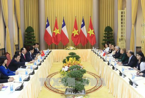 Chủ tịch nước Trần Đại Quang hội đàm với Tổng thống Chile Michelle Bachelet ảnh 1
